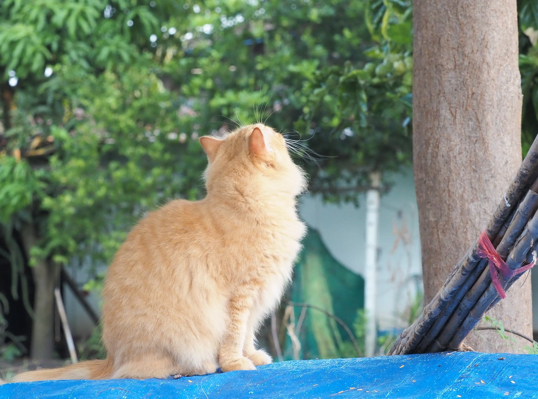 อาหารค่ำ สำคัญ นั่นล่ะหนอ 4