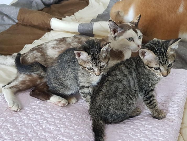 เขาให้มา อาศัย อยู่ในห้อง 1