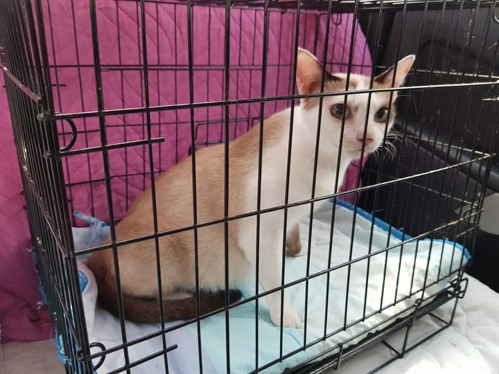 วันนี้พาลูกสาว #ปลาทอด ไปอัลตราซาวด์มาครับ เพื่อความมั่นใจ ซึ่งก็ไม่ผิดคาด เธอตั 1