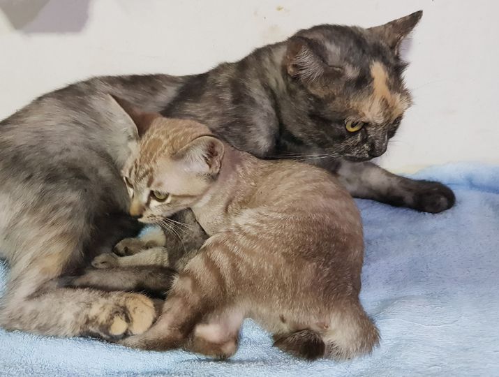 ทุกวันอาทิตย์ตั้งใจจะพูดคุยหรือเล่าเรื่องบ้างนะครับจนถึงปีใหม่ วันนี้ตอนแรกตั้งใ 1