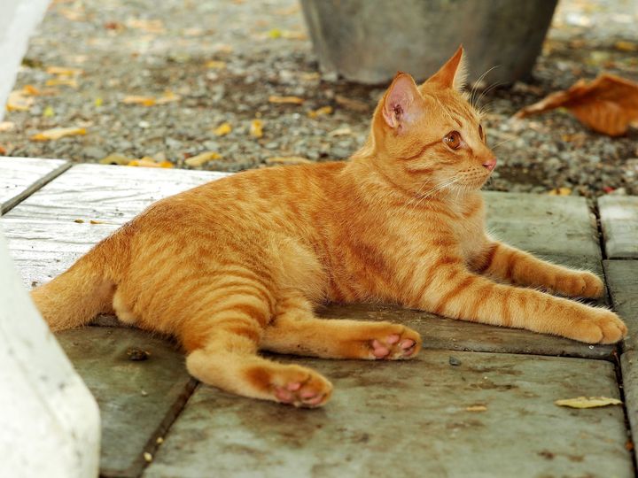 ขอบคุณทุกท่านมาก ๆ ครับที่เป็นห่วง ทองหยอดไปไวเหลือเกิน ถึงจะเสียใจย่ำแย่ขนาดไหน 1