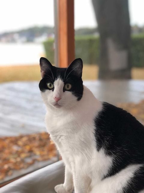 #ประกวดแต่งกลอนวันลอยกระทง 1