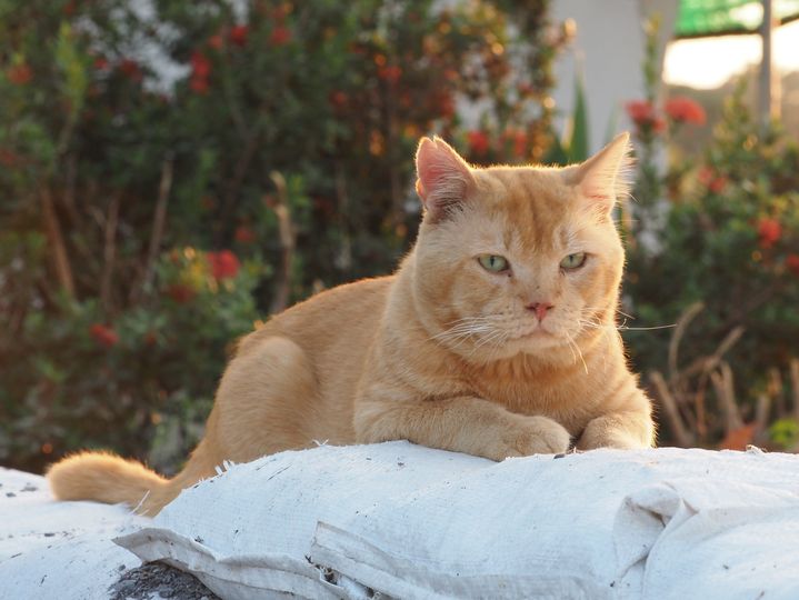 อัปเดตเรื่องการจัดทำ #สินค้าบ้านทองมี ครับ 1