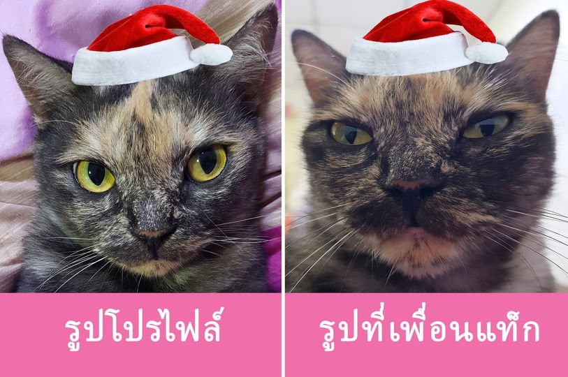 เจอซานต้าซานตี้สวย ๆ หล่อ ๆ ก็ดูให้ดีดีด้วยนะครับ.. 1