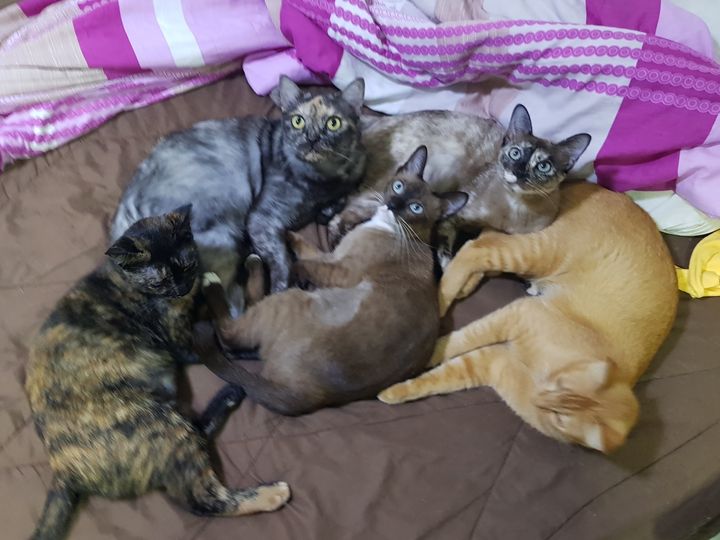 สวัสดีปีใหม่ทุกคนครับ (แก๊งสาวแสบเคานต์ดาวน์กันเสร็จแล้วยังตาใสอยู่เลย) 1