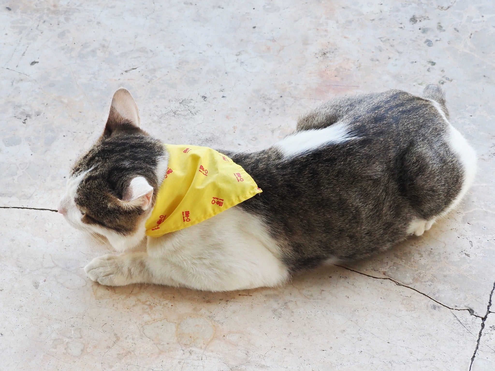 พ่อจะพา หาหมอ ต้องหล่อหน่อย 4