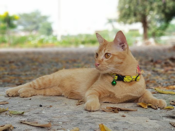 เกิดได้ครบ ทบปี วันนี้หนอ 1