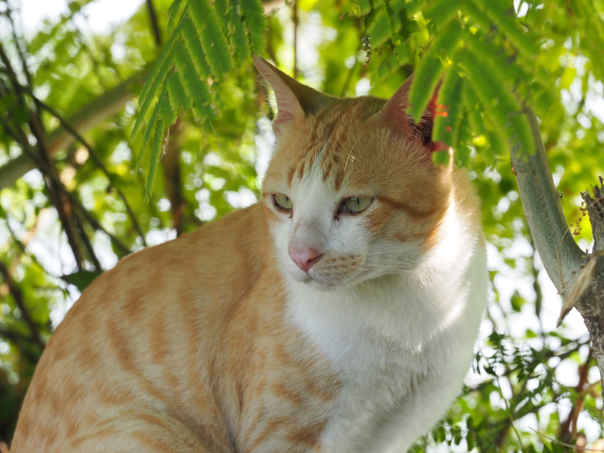 พ่อคอยจ้อง ส่องกัน นั่นละหนอ 2