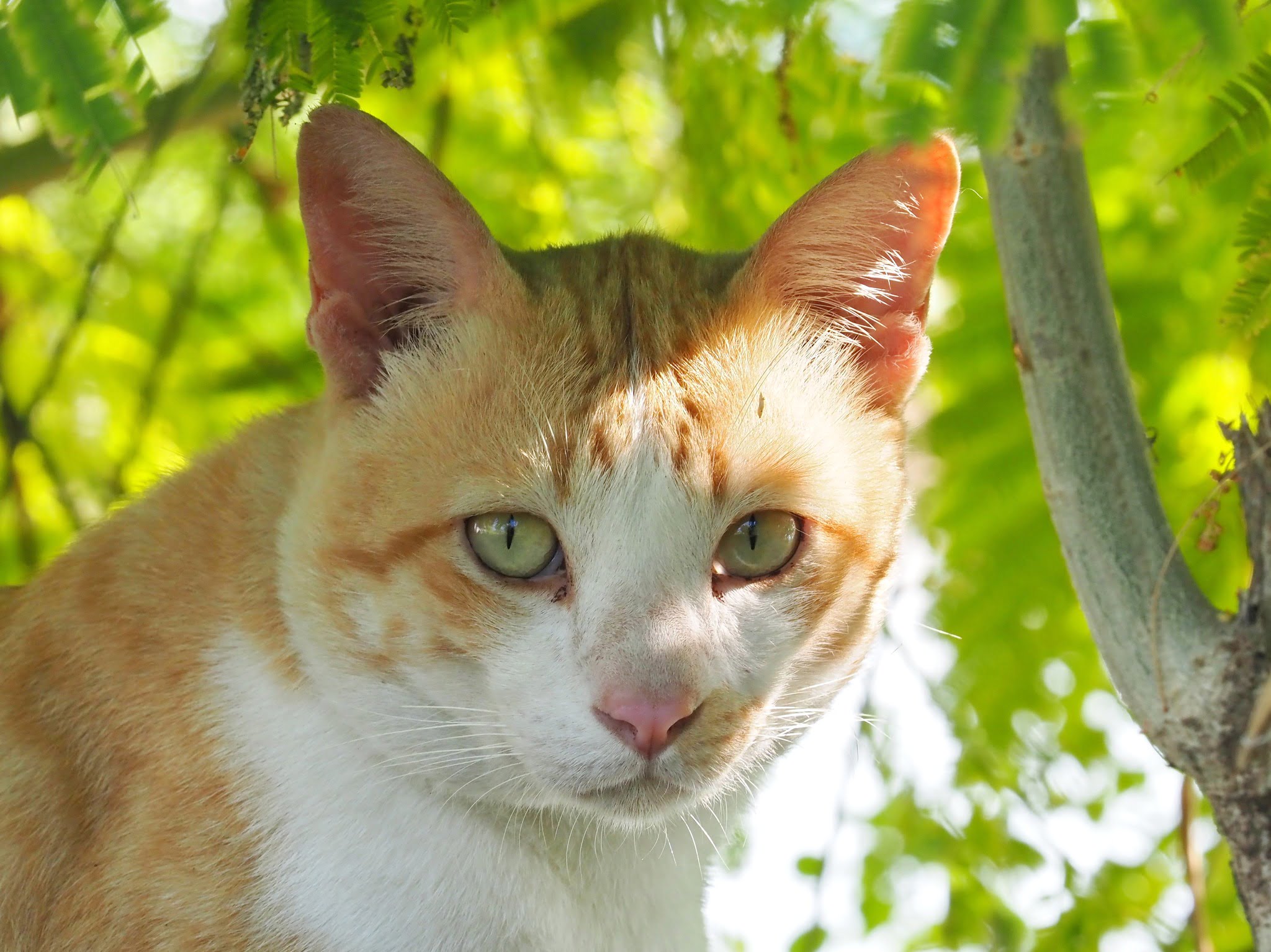 พ่อคอยจ้อง ส่องกัน นั่นละหนอ 1