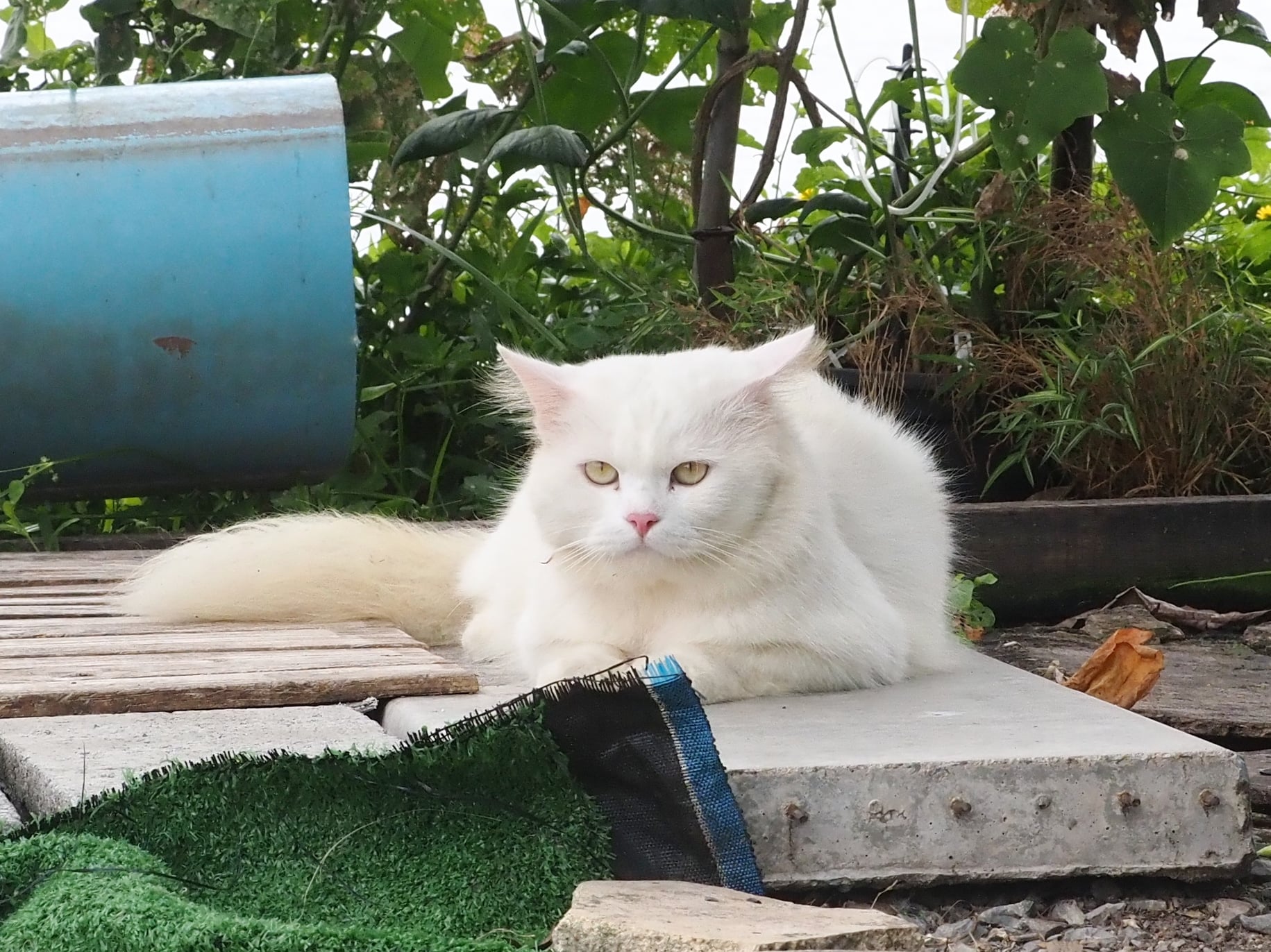 อากาศเย็น เป็นใจ เหมือนใกล้หนาว 3