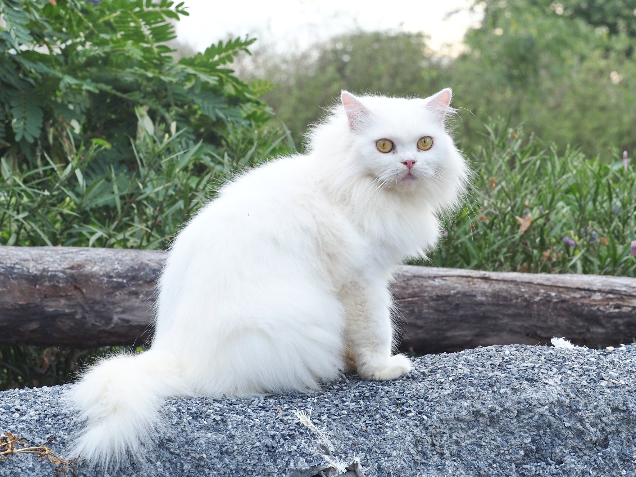 ชมดอกไม้ ชายคลอง ดูท้องทุ่ง 2