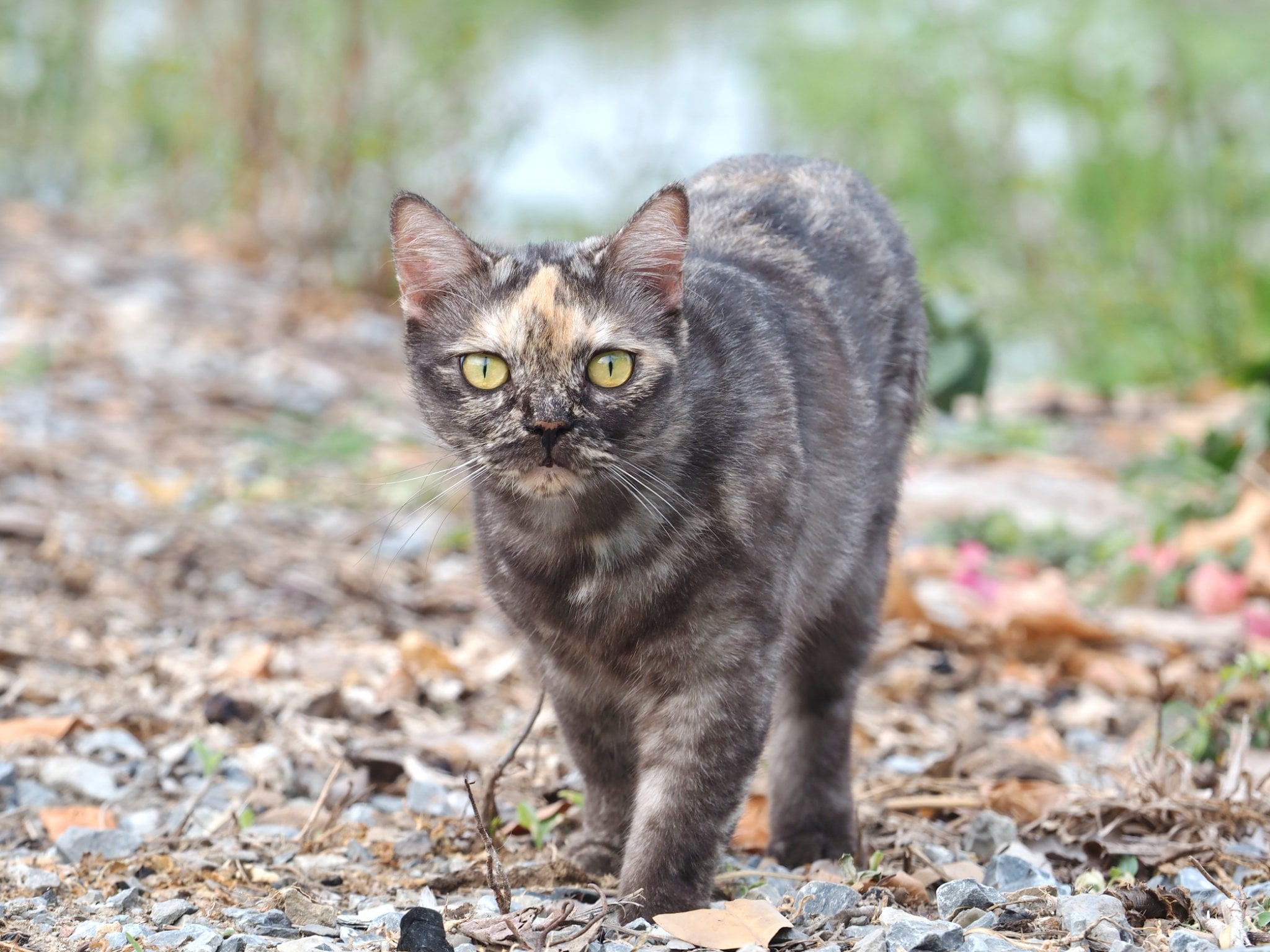 ถึงวันหยุด สุดรัก เลยพักสอน 3