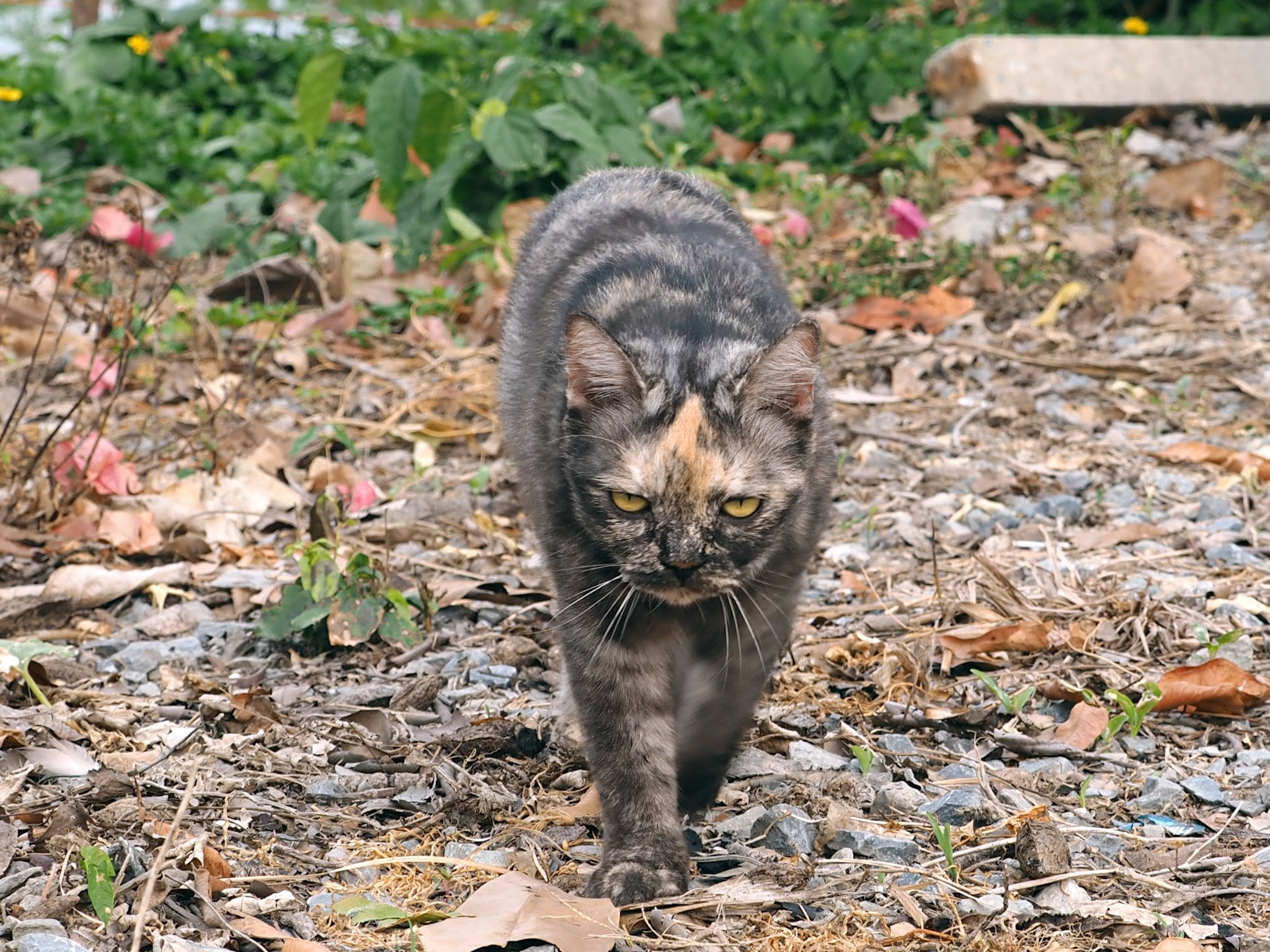 ถึงวันหยุด สุดรัก เลยพักสอน 4