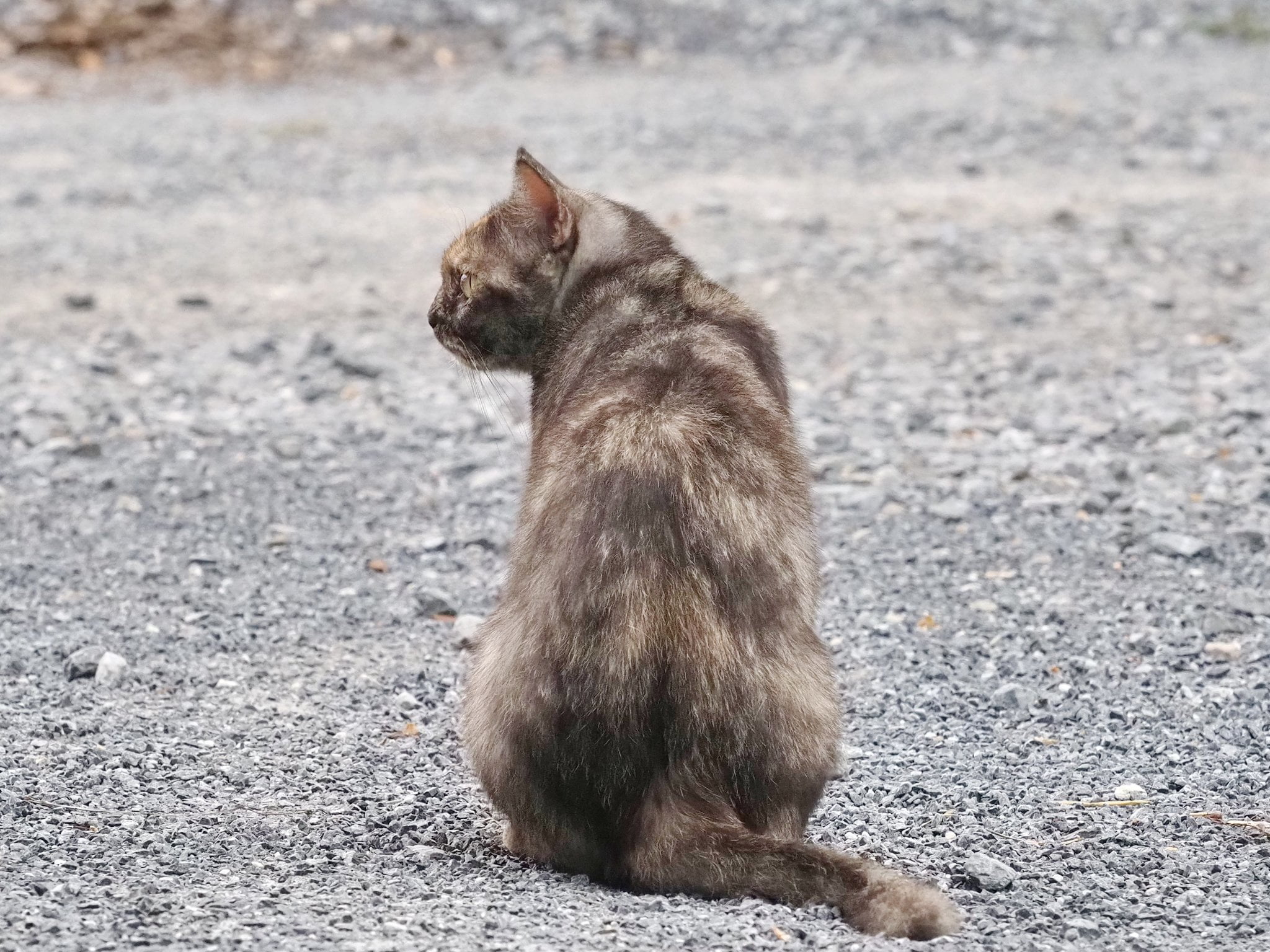 ถึงวันหยุด สุดรัก เลยพักสอน 5