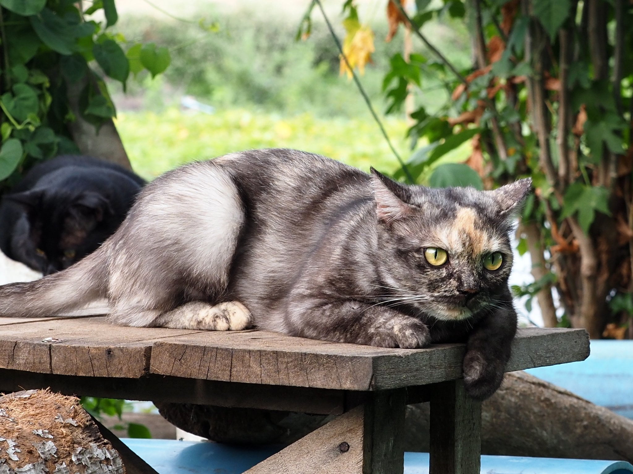 ถึงวันหยุด สุดรัก เลยพักสอน 1