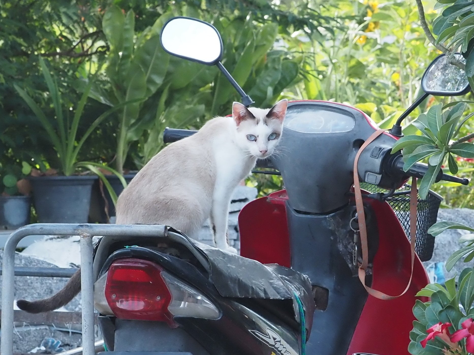เย็นวันหยุด สุดรัก ไม่พักสอน 3