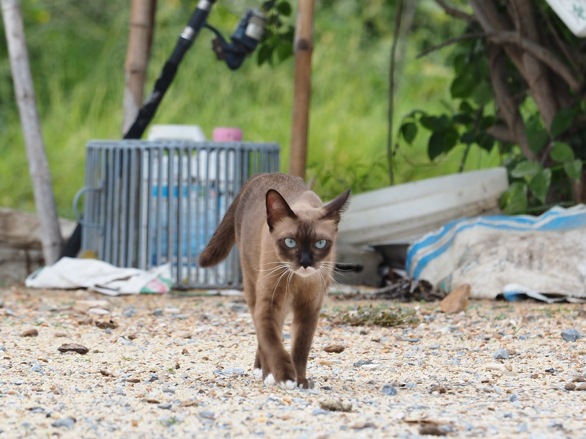 เตรียมสำรวจ ตรวจทุ่ง ถึงรุ่งสาง 3