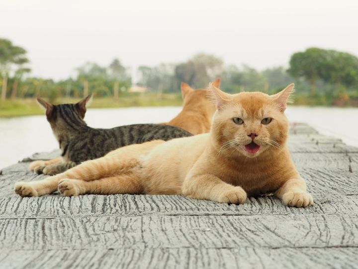 ฤดูร้อน อ่อนใจ เหมือนใครว่า 1