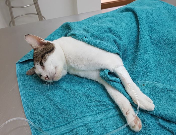 ลุง #ลำดวน อยู่ร.พ.ครับ 1