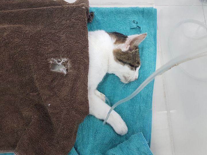 อัปเดตอาการลุง #ลำดวน ครับ 1