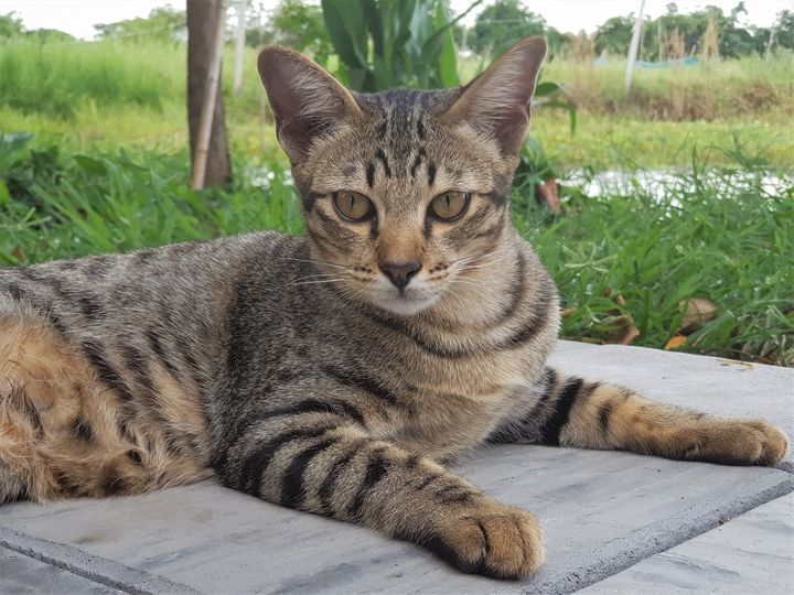 ยิ่งเข้าใกล้ วัยหนุ่ม ยิ่งกลุ้มนัก 1