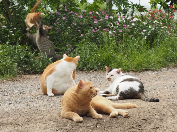 อากาศร้อน ก่อนเคย นั้นเลยเลื่อน 1