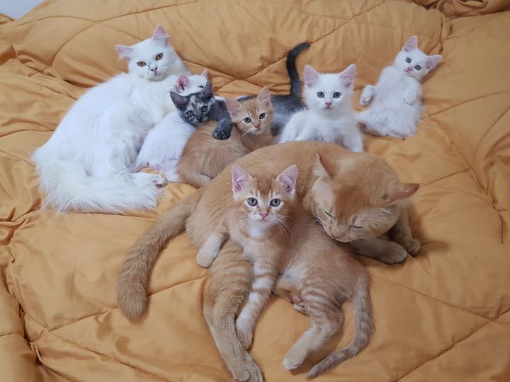 โอ้สองเดือน เคลื่อนไป จะไวช้า 1