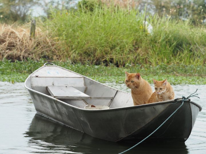 คนมาถาม ตามทอง ช่วยร้องบอก 1