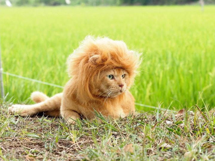 ออกลัดทุ่ง คุ้งคลอง จะลองล่า 1