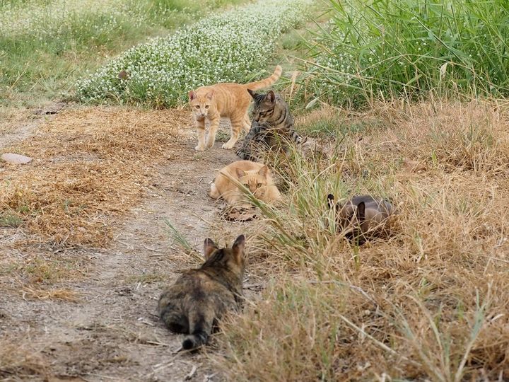 แสนสบาย ชายคลอง ได้ท่องทุ่ง 1