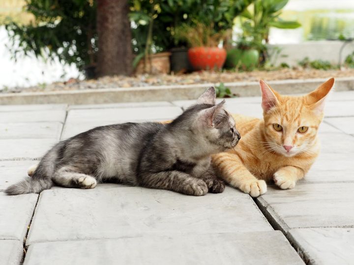 พ่อเราหาย บ่ายเย็น พี่เห็นไหม 1