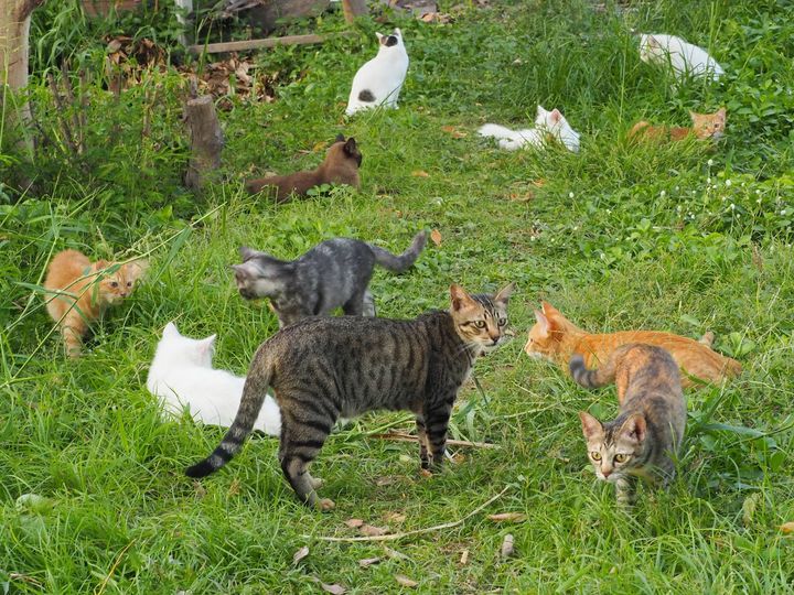 ฟ้าจะลับ จับกลุ่ม กันหนุ่มสาว 1