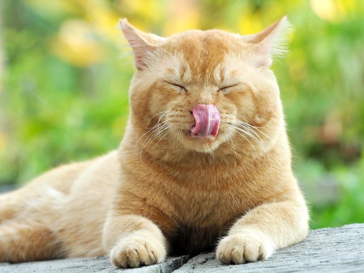 ช่วงดึกดื่น คืนนี้ คงผีออก 1