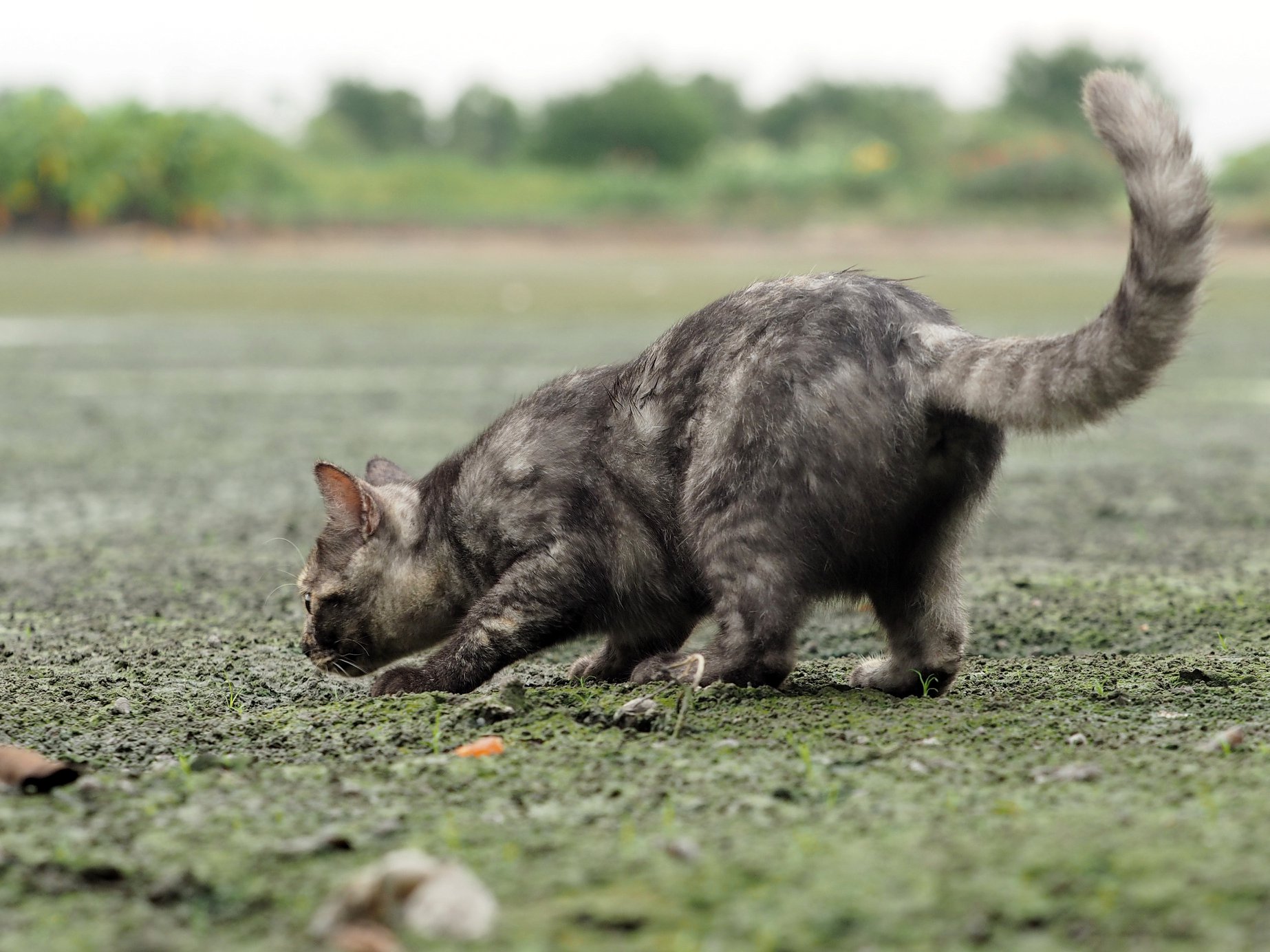 น้ำเคยนอง คลองแล้ง พอแห้งผาก 5