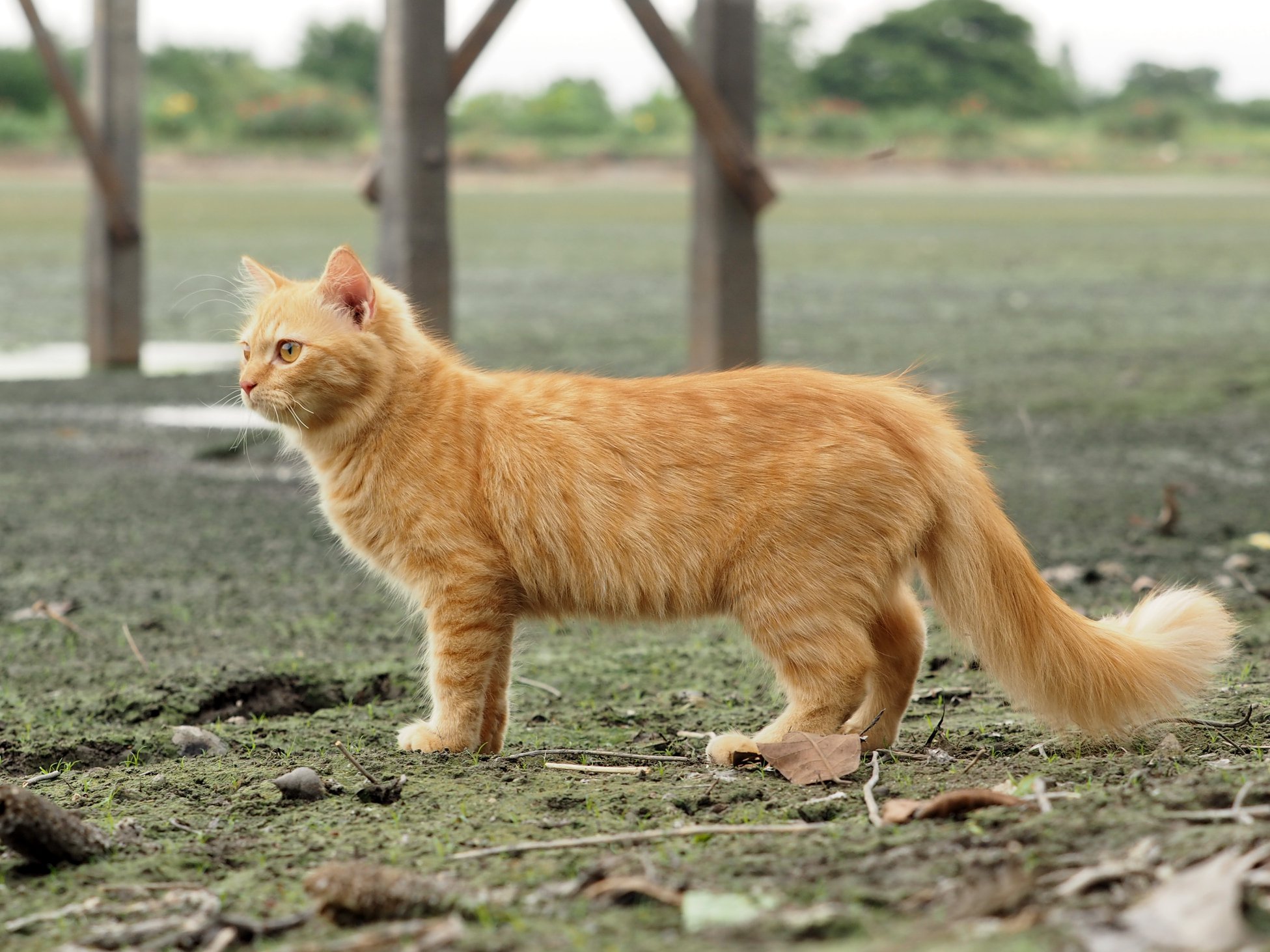 น้ำเคยนอง คลองแล้ง พอแห้งผาก 4