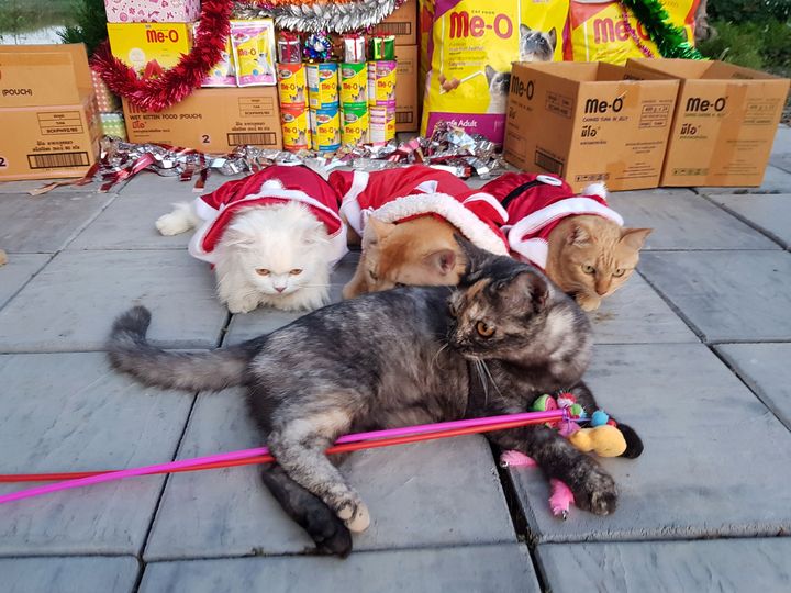 คริสต์มาส วาดหวัง จะสังสรรค์ 1