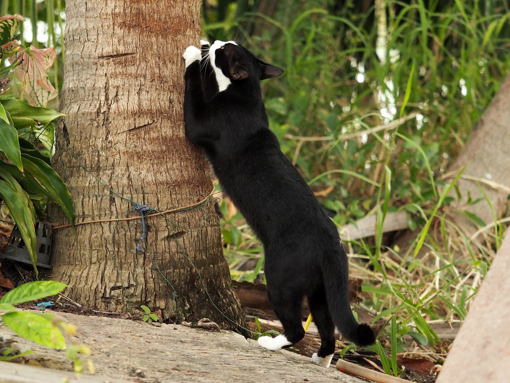 เพื่อนเราไป ไหนหมด ชักหดหู่ 2