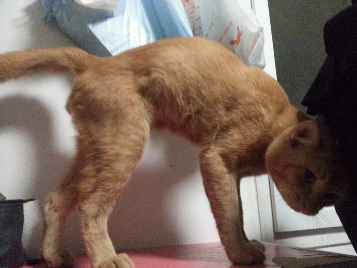 มีรูปเก่า เล่าใหม่ ตอนวัยโจ๋ 1