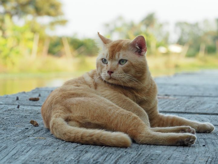 ขอส่งใจ ใส่กลอน มาวอนไหว้ 1