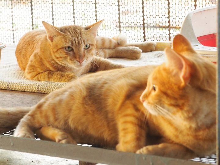 อยู่ก็ดี มีกิน ในถิ่นนี้ 1