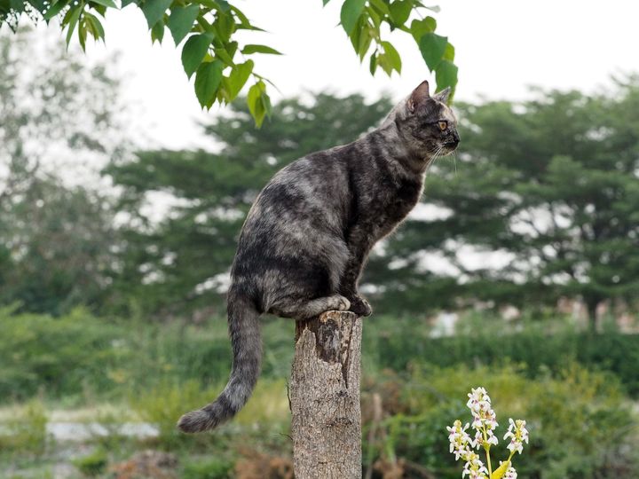 เห็นข่าวว่า ฟ้ามัว กันทั่วทิศ 1