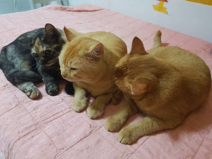 ถึงสถาน บ้านรัก จะพักหนอ 1