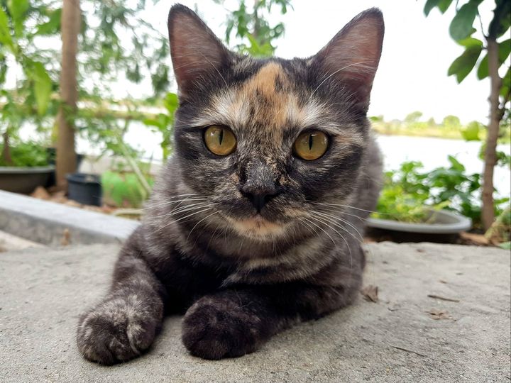 คนเขาว่า หน้าบาน เป็นจานข้าว 1