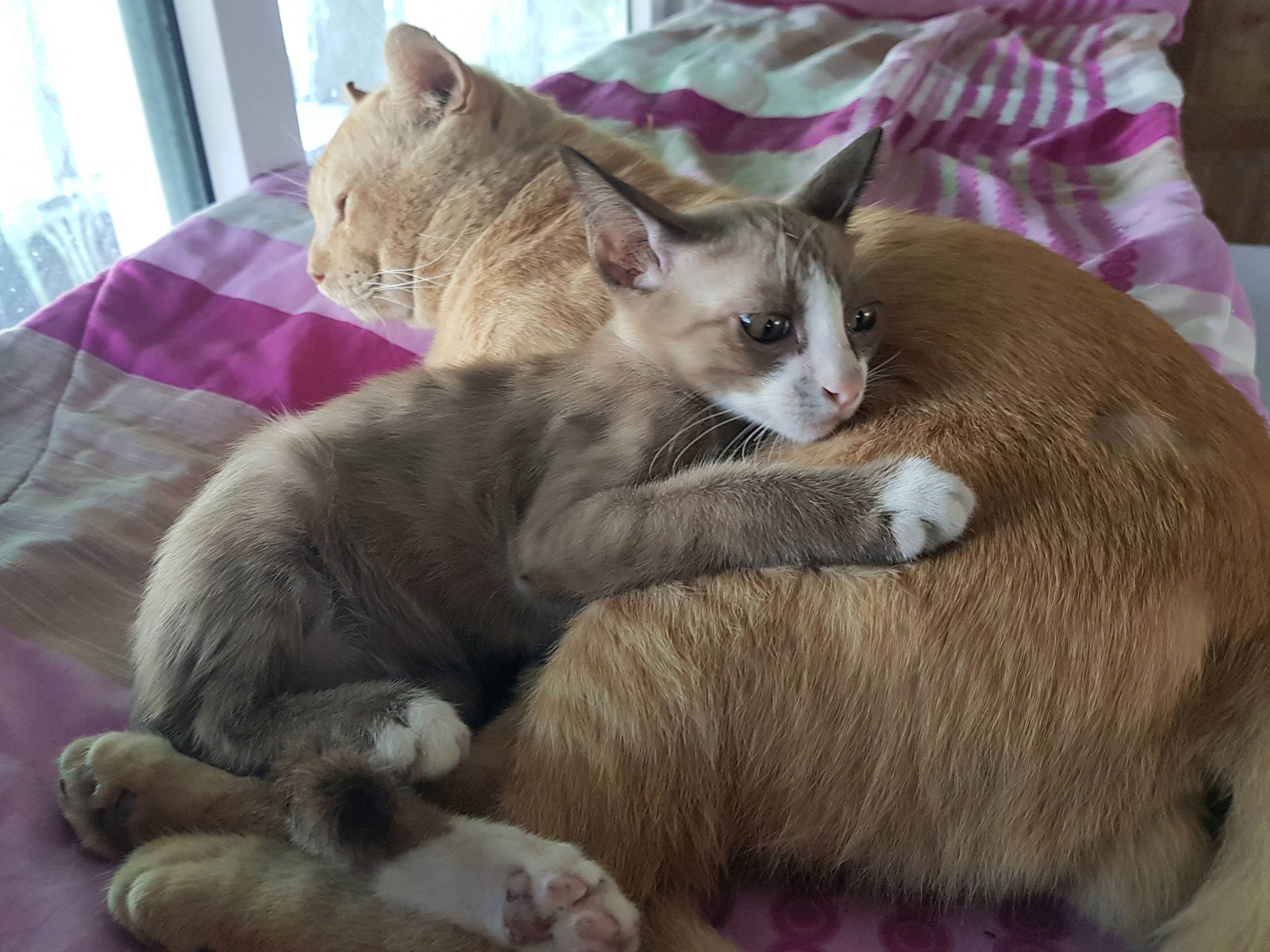 จะอยู่บ้าน ย่านใหม่ ยังไหวหวั่น 1