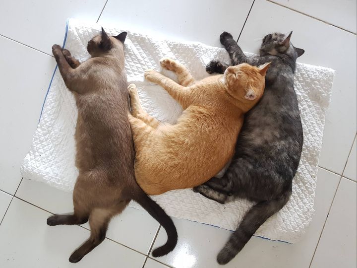 ประตูปิด ติดกลอน เลยนอนเศร้า 1