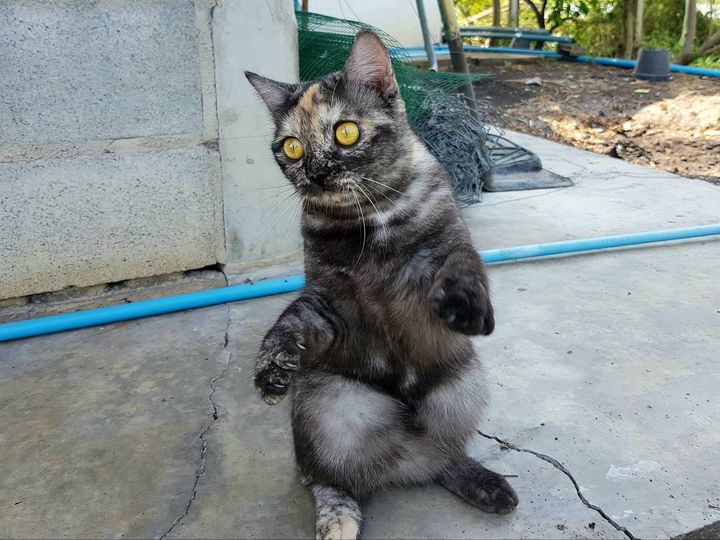 ฝนกระหน่ำ ค่ำคืน จนพื้นแฉะ 1