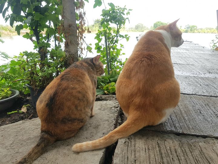 ฝนมาพรำ ฉ่ำชื่น แต่พื้นแฉะ 1