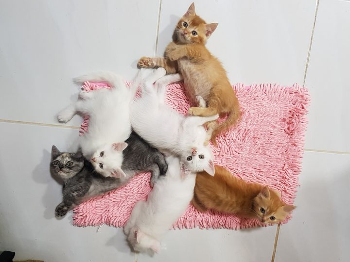 อยู่กันครบ ทบปี นั้นดีแสน 1