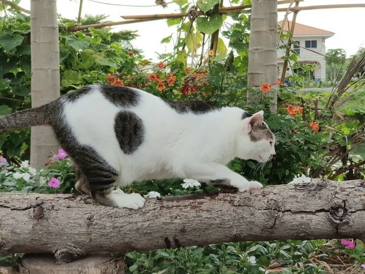 เห็นวัยรุ่น หุ่นบาง ยังร่างน้อย 1