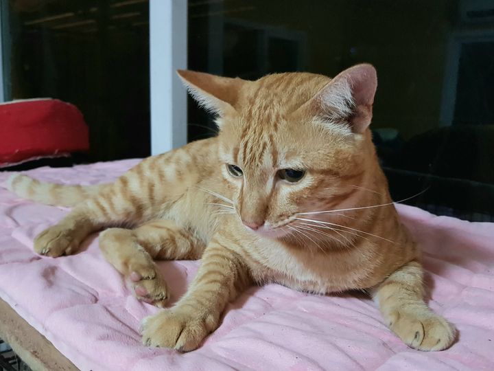 เรื่องของ #บุญเหลือ 1